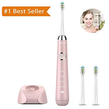 Sonic Electric Toothbrush Pink, IPX7 Waterproof Wireless Rechargeable Toothbrush with 2 Replacement...