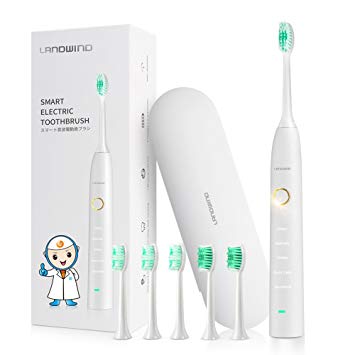Electric Toothbrush, Electric Toothbrush with Case 5 Electric Toothbrushes Replacement Brush Heads for 15...